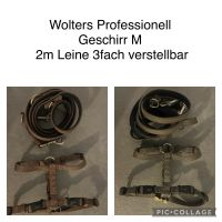 Wolters Geschirr Rheinland-Pfalz - Dirmstein Vorschau