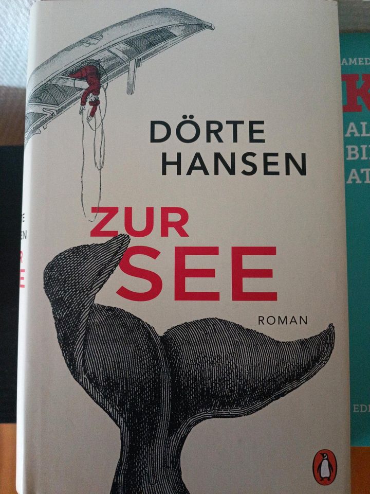 Buch von Dörte Hansen: "Zur See" in Melchow