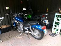 Motorrad Yamaha Virago 535 Schleswig-Holstein - Borgwedel Vorschau