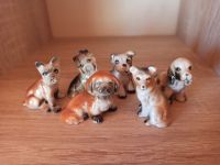 6er Set kleine Hundefiguren aus Porzellan Bayern - Eching (Niederbay) Vorschau