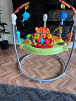 Fisher-Price Spielspaß Rainforest Jumperoo hopser Nordrhein-Westfalen - Ibbenbüren Vorschau