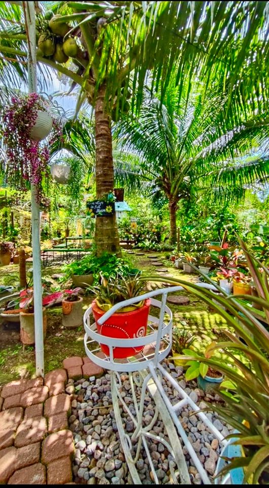 5.3 Hektar Resort in Philippinen *Kein Provision von Käufer* in Düsseldorf