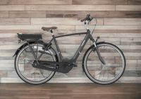 Gazelle Arroyo C7+ E-Bike Pedelec Elektrofahrrad (Gebraucht) Niedersachsen - Garrel Vorschau