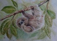 Aquarell Faultier Sloth original Bild Gemälde handgemalt Saarbrücken-West - Burbach Vorschau