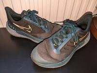 Nike Air Winflo Shield 9 Wasserdicht Größe 41 Bremen - Borgfeld Vorschau
