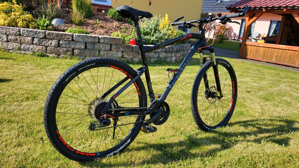 Haibike 52cm (XL) SEET 3.0 - Verkauf auch in KS PLZ 34131 in Witzenhausen