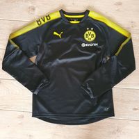 Puma Borussia Dortmund BVB Trainingsshirt, schwarz, Gr. 176, NW Wuppertal - Langerfeld-Beyenburg Vorschau