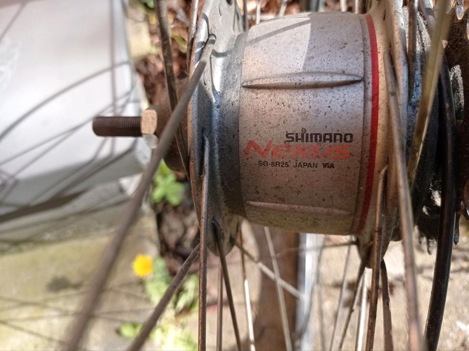 Fahrrad Hinterrad 28ZOLL mit 7gang in Bamberg