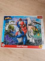 Puzzle spiderman neuwertig Rheinland-Pfalz - Argenthal Vorschau