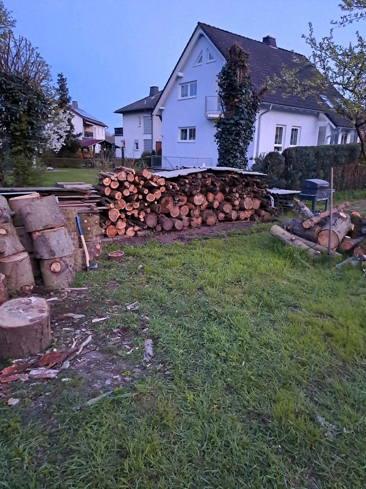 Brennholz Kiefer, Fichte, Kirschholz in Stockheim Oberfr