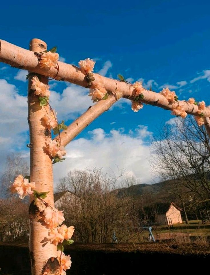 Hochzeit Traubogen Birkentraubogen Hochzeitsbogen freie Trauung in Hammelburg