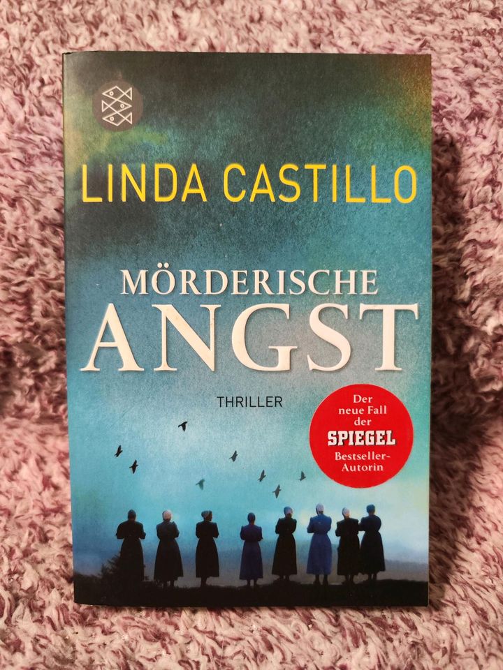 Mörderische Angst - Linda Castillo in Köthen (Anhalt)