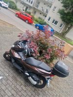 Honda pcx 125 Köln - Chorweiler Vorschau