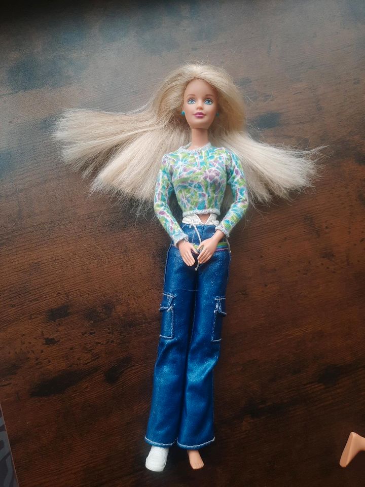 Mattel 1997 barbie Batik Fun Konvolut Bastler in Bad Neuenahr-Ahrweiler