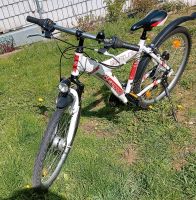 Herrenfahrrad Bikespace Sportline ATB, 26 Zoll, 44 Rahmenhöhe Nordrhein-Westfalen - Solingen Vorschau