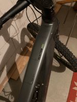 E Bike Cube Reaction Pro, XL, 625 Wh, neuwertig Bayern - Deggendorf Vorschau