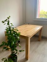 Tisch Esszimmer Massivholz Berlin - Lichtenberg Vorschau