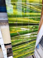 Küchenrückwand Glas 300 cm neu bambus Sachsen-Anhalt - Hohe Börde Vorschau