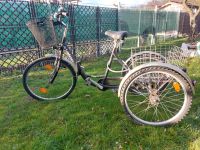 MAINO Fahrrad Dreirad für Erwachsene 24" Stuttgart - Weilimdorf Vorschau