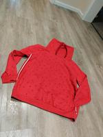 Roter Pulli mit Schwalben Gina gr. 44 Niedersachsen - Spelle Vorschau