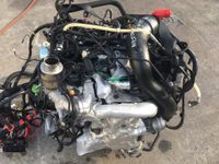 Motor Renault Master 2.3 EURO6 M9T706 M9T D706 170PS komplett Rheinland-Pfalz - Waldalgesheim Vorschau