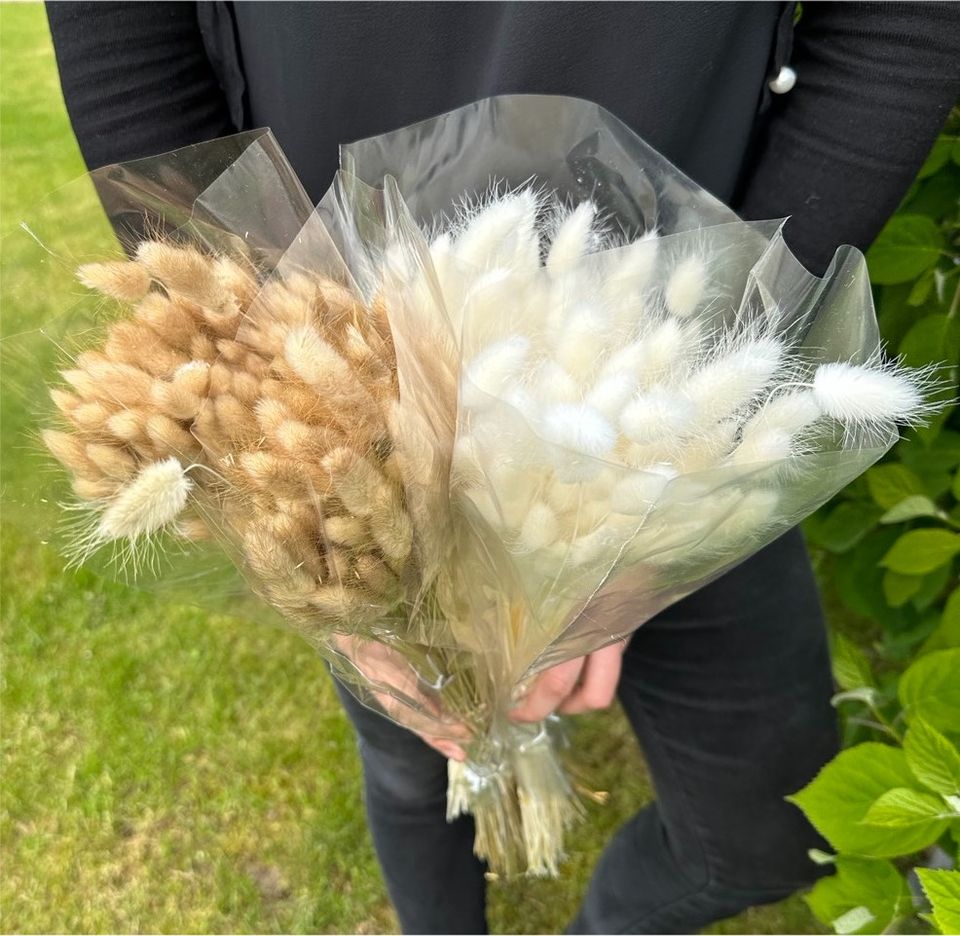 Lagurus Hasenschwanz Hochzeit Deko Trockenblumen Bund weiß natur in Dresden