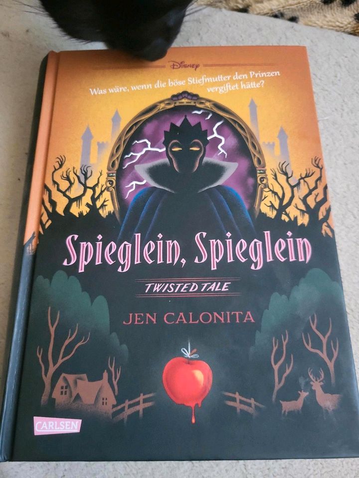 Spieglein, Spieglein- Twisted Tale von Jen Calonita in Sülldorf
