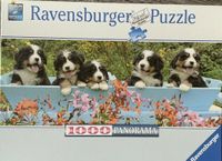 Puzzle Ravensburger 1000 Teile -15116 Panorama Berner Sennenhunde Nordrhein-Westfalen - Jüchen Vorschau