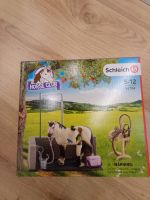 Schleich Pferdewaschplatz Bayern - Bischofsmais Vorschau