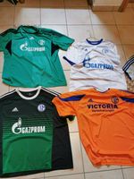 Trikotsammlung Fussball S04 in XL und XXL pro Trikot 55Euro ! Nordrhein-Westfalen - Rheinbach Vorschau