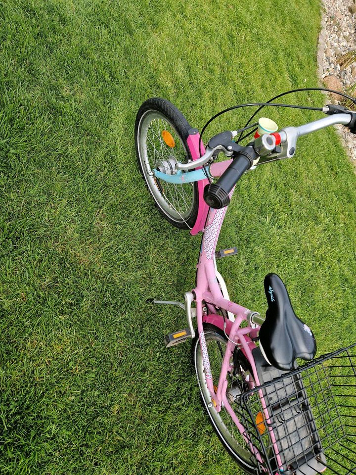 Puky 20 Zoll Skyride in Tüttendorf