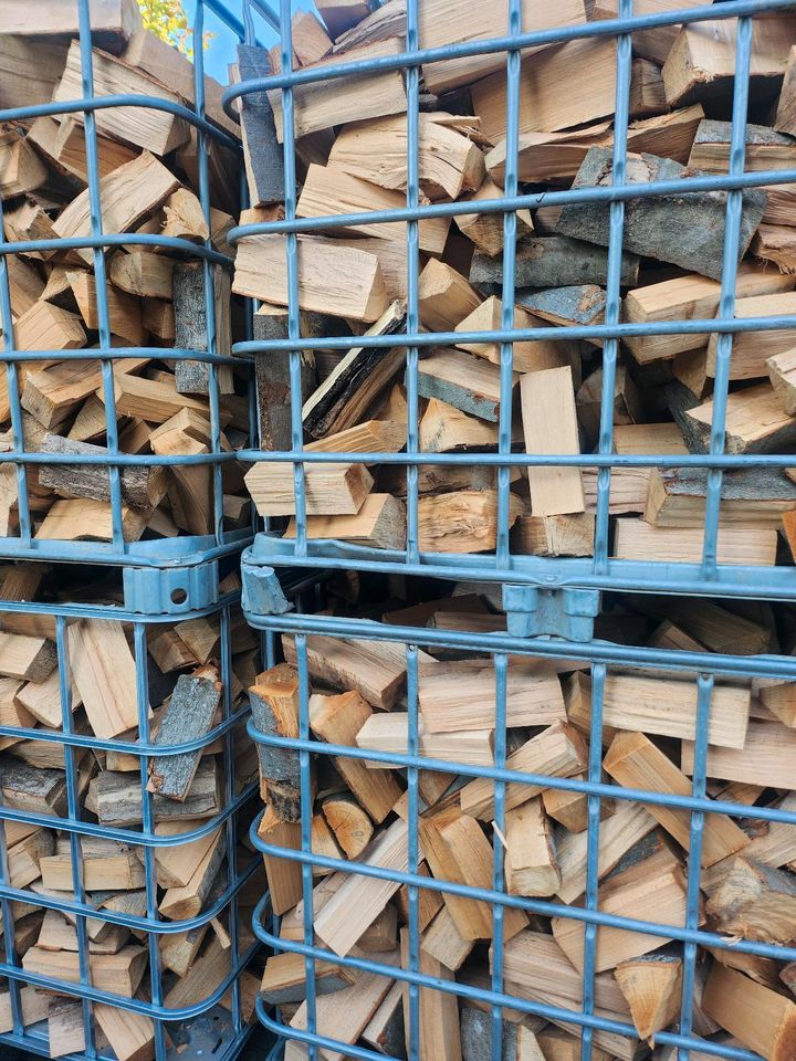 Brennholz reines Buche 5srm trocken für nächste Heizperiod in Bad Camberg