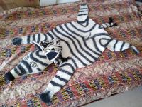 ÖKO Woll Filz Teppich Zebra Vorleger Kinderzimmer NEU Friedrichshain-Kreuzberg - Kreuzberg Vorschau