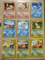 20x Pokemon Karten TGC Base Set Mint, spanisch Köln - Porz Vorschau