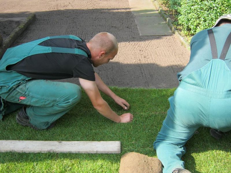 Vertikutieren - Gartenpflege in Halstenbek