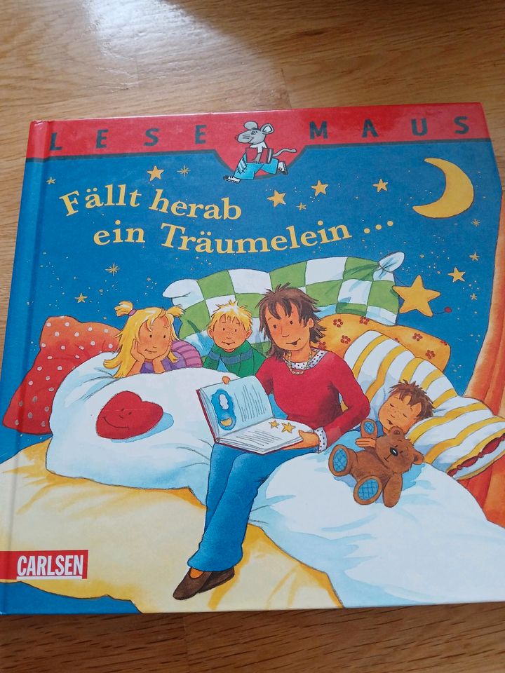 Buch Bücher Vorlesebuch Vorlesebücher Bücherpaket in Weischlitz