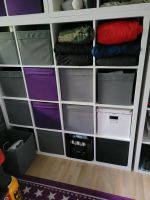 Ikea Kallax Modelle 4x4 1x und 2x2  12x und Malm Bett grau Brandenburg - Potsdam Vorschau