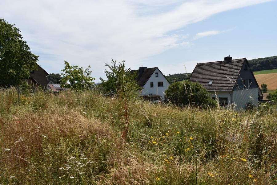 Steigende Mieten & Nebenkosten? Nein, danke! Ihr Bungalow mit hohem Komfort in Moringen OT Nienhagen in Moringen