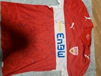 Trikot mit original Unterschriften von 2008-09 Baden-Württemberg - Fichtenau Vorschau