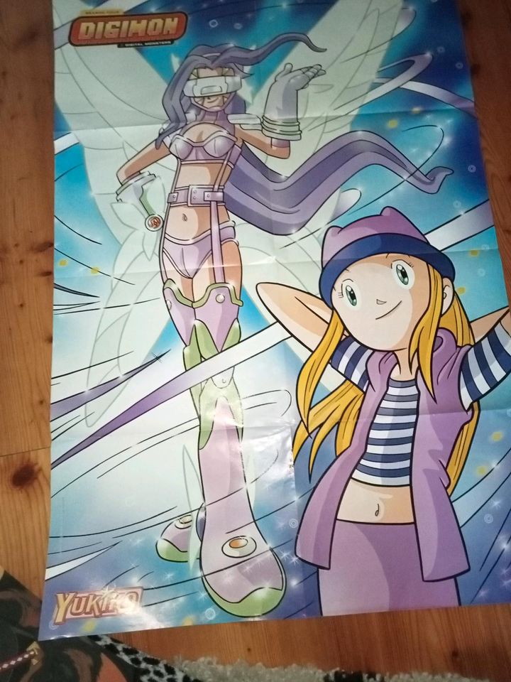 Verschiedene Poster Digimon Inu Yasha in Emden