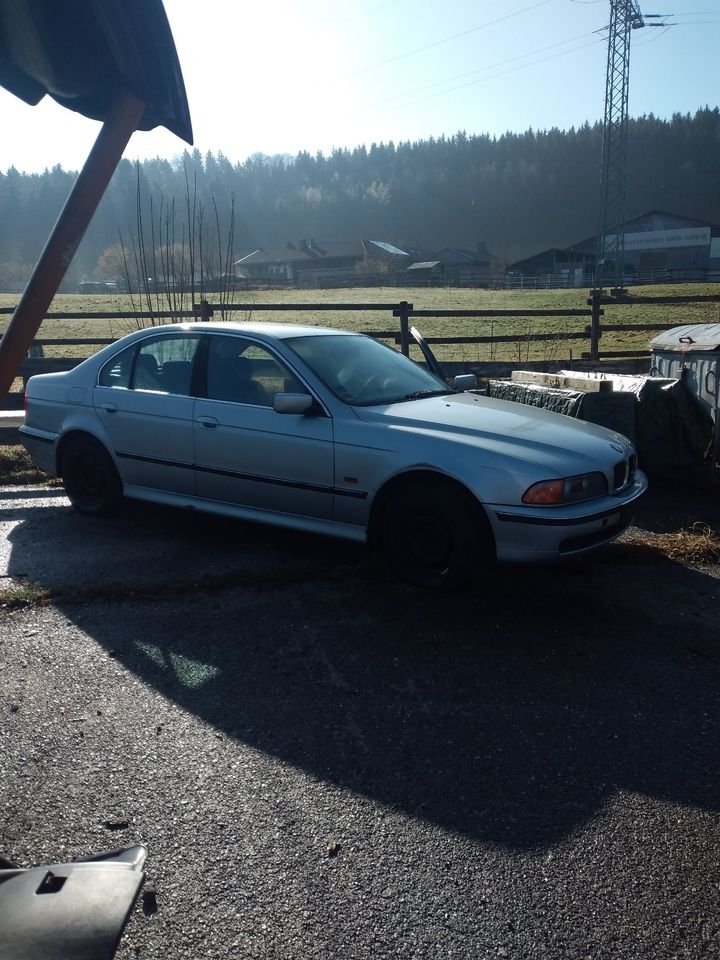 BMW 525 tds E 39 in Kiefersfelden