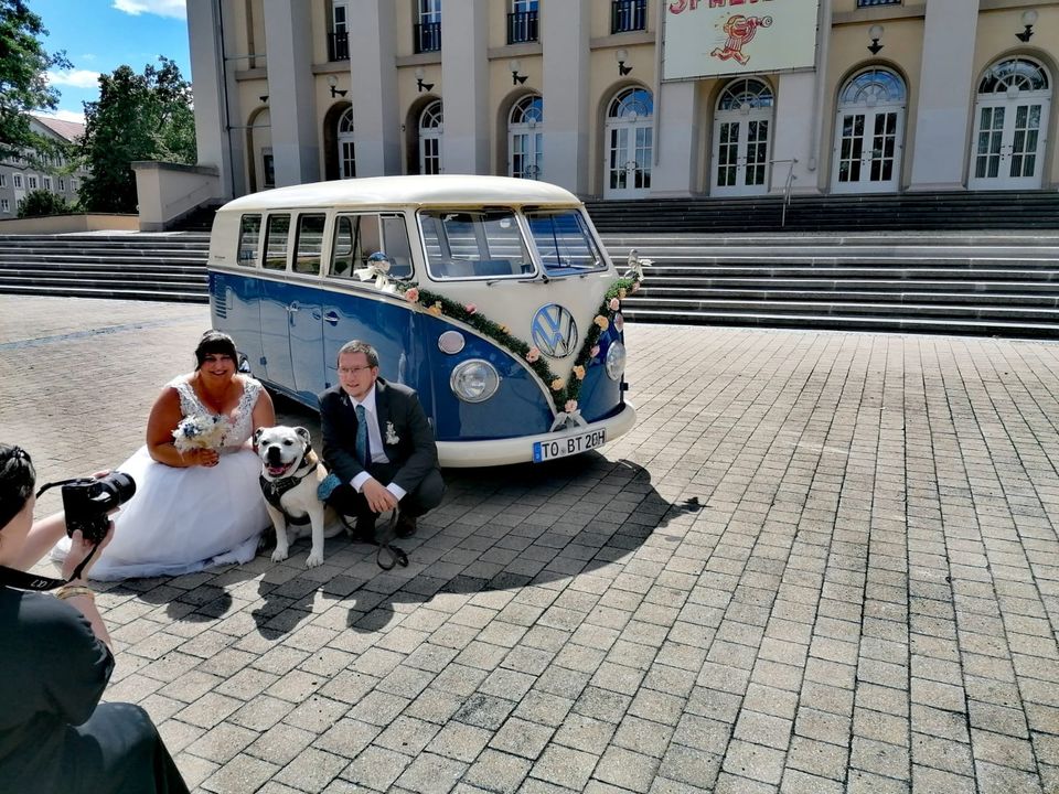 Hochzeitsauto mieten VW Bulli T1 Dresden und Umgebung in Dresden