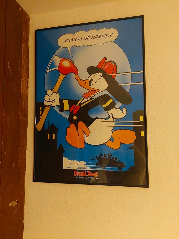 Donald Duck Sammlung Mickey Mouse Poster Bilder Teppich Schilder in Witten