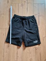 Puma Shorts Sachsen-Anhalt - Nienburg (Saale) Vorschau