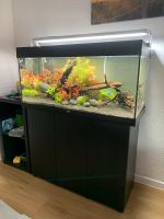 Komplettes Aquarium abzugeben Nordrhein-Westfalen - Castrop-Rauxel Vorschau