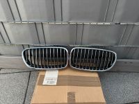 BMW 5er F10 Nieren Grill original Baden-Württemberg - Karlsruhe Vorschau