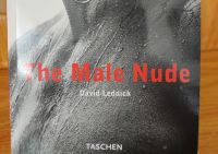 The Male Nude Leipzig - Schönefeld-Abtnaundorf Vorschau