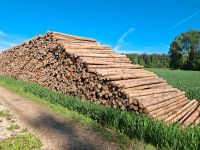Brennholz  zu verkaufen Bayern - Kelheim Vorschau