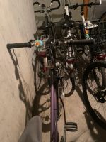 Fahrrad violet Frauen Hessen - Bad König Vorschau