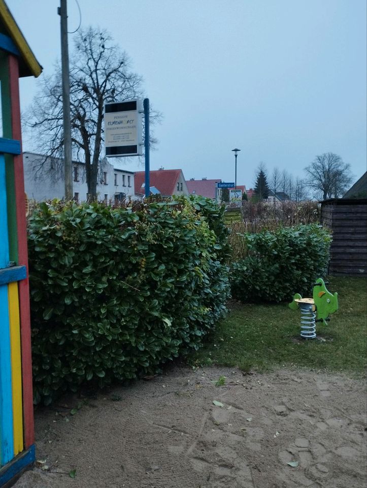 Hilfe für Haus und Garten in Rostock